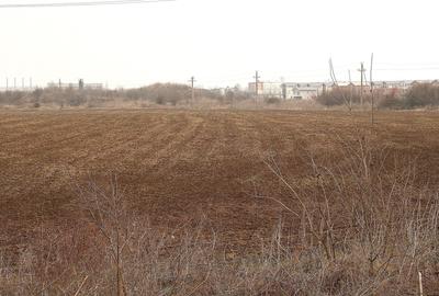 OTOPENI - Str. Drumul Garii Balotesti, 30.400 mp. teren ideal dezvoltare imob. - 3