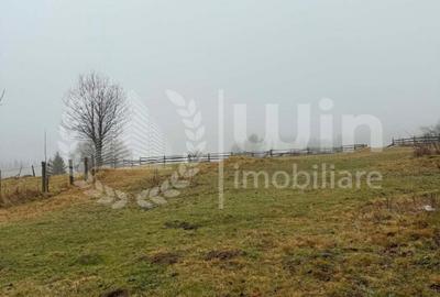 Teren intravilan ideal pentru investitie 1716mp | Front 38m | Marisel - 6