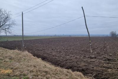 Teren la asfalt in Bucecea - 3