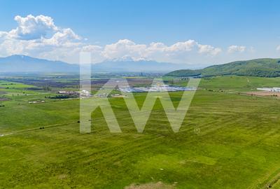 Teren extravilan 4.700 mp Codlea –Zona Lacurilor - ideal pentru investiție - 3