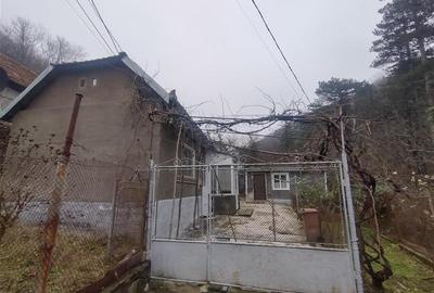 Oravita, Casa de Vacanta, PRET FIX, Zona Lacul Mare - 15