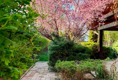 Direct de la  proprietar Vila 5 camere cu grădină în Timisoara, mobilată complet - 13