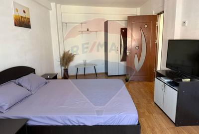Apartament cu 1 camere de închiriat în zona Brazda lui Novac - 1