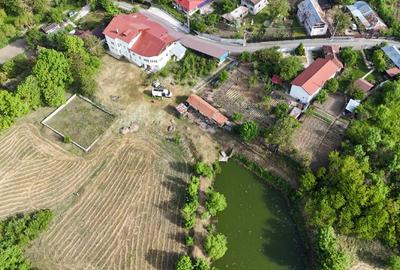 Teisori domeniul verde cu baltă de pește ,Neajlov,,Padure - 8