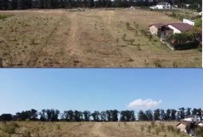 Teren de vanzare intravilan in Branesti IF - 1