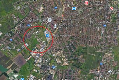 Spațiu industrial, 300 mp în Șagului