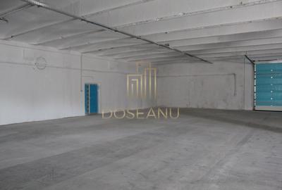 SPATIU INDUSTRIAL - HALA | LES | BIHOR - 4