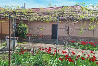 Casa de vanzare Movilita Ialomita - 2