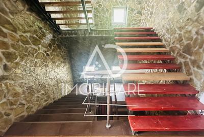 Afacere la cheie – Pensiune turistică în Comuna Runcu - 6