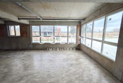 Spatiu Comercial 305 mp+ gradina 178mp, Bieltz/Turnisor - 3