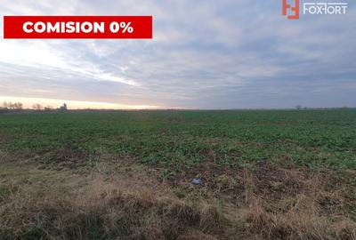 COMISION 0% Teren extravilan 20.000 mp la sosea in Sag - 2