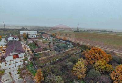 Teren 7500mp și construcții de vânzare, Tilecuș - 9