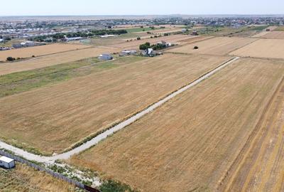 Intravilan 36 Rate - Berceni Primaverii | curent si gaz la lot | #EG34 - 7