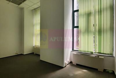 Inchiriere spatiu comercial bd Unirii, vitrina 25ml, stradal - 3