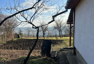 Vand Casa PLATOUL Cornesti str. CORNESTI- teren 1150 mp - 14