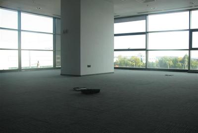 Cubic Center - Birouri de inchiriat de la 300 mp - Pipera, Rond OMV - 18