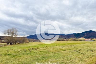 Teren intravilan în Tocile - 39 euro/mp - 4354 m² - 2 fronturi - 16