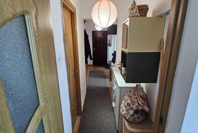 Apartament cu 2 camere nedecomandat, mobilat în Simeria