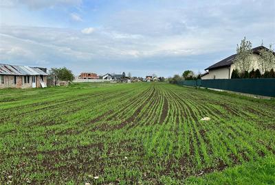 TEREN INTRAVILAN STREJNICU - 6