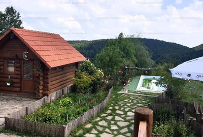RATE Pensiune Piscina Superba***pe mal Lac Mocearu  70km de Buzau - 34