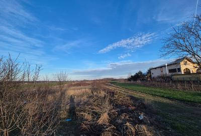 Vand teren in Tintava cu deschidere la PADURE (Gradinari, Giurgiu) - 4