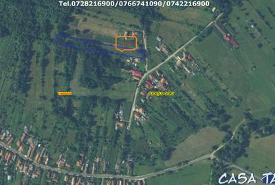 Teren Intravilan (4148 mp), situat in Tismana (Vanata) - 3