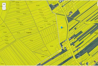 Teren intravilan 33.496 mp, Com. Bradu (fosta Com. Albota), Arges - 7