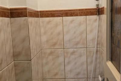 Apartament 3 camere- decomandat-zona Calea Calarasilor / Hala Traian - 12