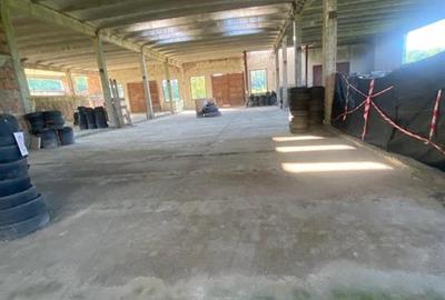 CLADIRE INDUSTRIALA 3500 mp  SI TEREN 10.000 MP DE VANZARE CASIN - 9