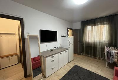 Garsoniera Alexandru cel Bun-Zimbru, in bloc de apartamente - 4
