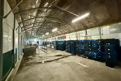 Hale de inchiriat, teren 5500 mp, acces TIR, in Iernut, zona Centru Logistic Lid - 4