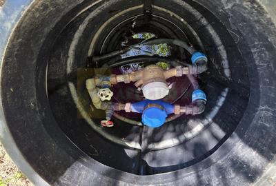 Teren cu Casuta de lemn in Sotrile (langă Valea Doftanei) - 8