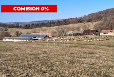 Ferma complet echipata de vanzare – zona Agnita, judetul Sibiu - 1