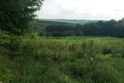 Teren intravilan Cucorani - 1