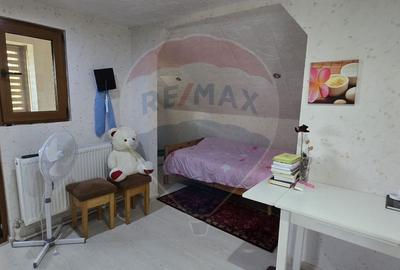 Casa cu mansarda in MIȘCA  jud Arad - 15