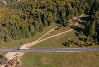 Teren premium pentru dezvoltare de lux – Drumul Poienii, Brasov - 8