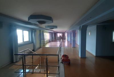 Vilă Mare în Voluntari - 13
