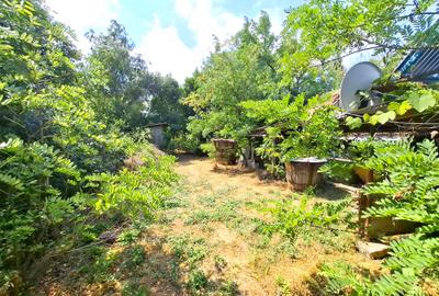 Oportunitate unica de investitie   DN23 - Trafic Intens - 4