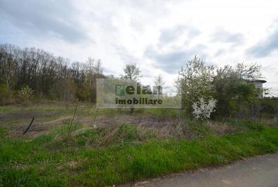 Snagov Crizantemelor Teren 3200mp, d 72ml, gaz, curent, asfalt, padure - 4