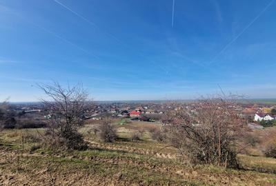 Teren extravilan,  zona si priveliste superba, Cuvin - 2