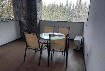 APARTAMENT 3 CAMERE, HOTEL ALPIN, POIANA BRASOV - 21