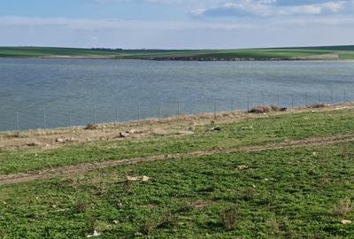 Teren de vanzare in Techirghiol primul rand la lacul sarat - 7