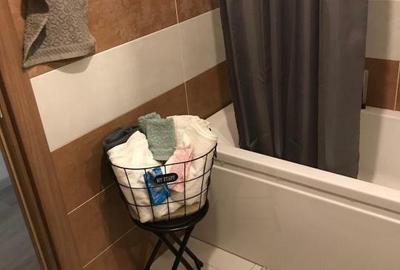 Inchiriere Apartament doua camere Grozavesti - 5