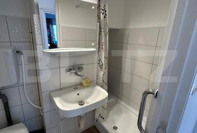 Apartament cu 2 camere, decomandat, etaj intermediar, mobilat, Mănăștur - 8