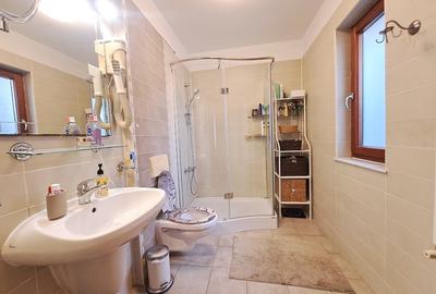 Proprietar   |   Vilă modernă  în American Village Pipera   |  Renovată complet - 10