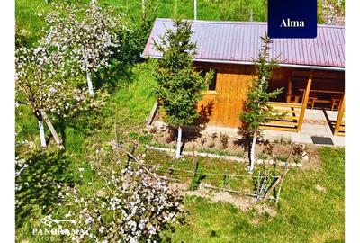Teren Intravilan cu cabana  in satul transilvanean Alma - 6