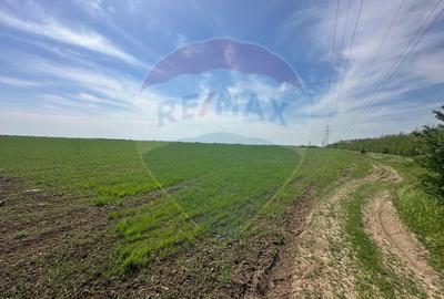 Teren 138.104 mp Dragomiresti-Vale, Ilfov, langa A0 - 6