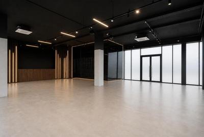 Spatiu comercial 180mp cu terasa de 75mp  zona Doamna Stanca - 2