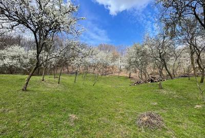 Mihaesti - Sat Draghici, teren intravilan, cu o suprafață generoasă de 7.280 mp - 1