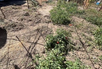 Teren intravilan Stadion - 2